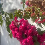 Quinta A Fonte - Adults Only 4*