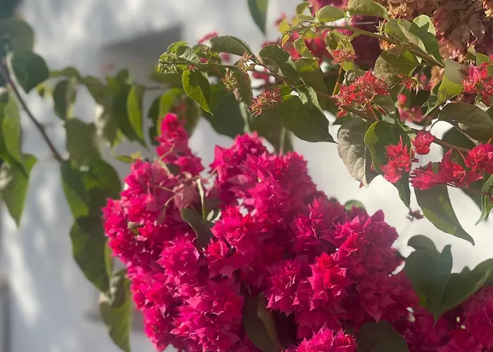 Quinta A Fonte - Adults Only 4*